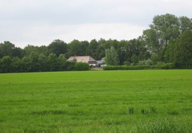Tocht Te voet Hellendoorn - WNW Twente - Marle -groene route - Photo