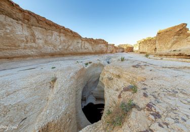 Randonnée A pied מועצה אזורית תמר - IL-11535 - Photo