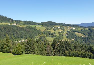 Tocht Stappen Gorenja vas-Poljane - zapreval Martini vrh - Photo