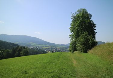 Randonnée A pied Semriach - Wanderweg 13a - Photo