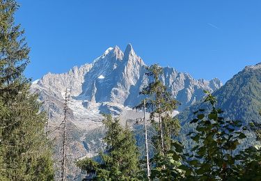 Tour Wandern Chamonix-Mont-Blanc - 20231007 Chamonix Les Praz Balcon Sud - Photo