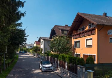 Tour Zu Fuß Unbekannt - Hadersdorf Bf. - Vorderhainbach (blaue Markierung) - Photo