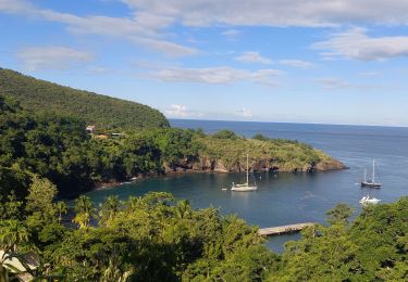 Tour Wandern Les Anses-d'Arlet - anse noir - anse mitan - Photo