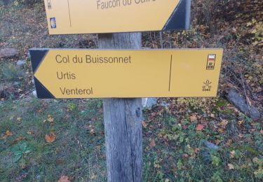 Tour Wandern Faucon-du-Caire - FAUCON DU CAIRE . Col de Buissonet , Pie Fourcha o m s - Photo