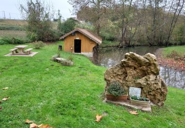 Randonnée Marche Bazoches-sur-le-Betz - Bazoches sur le Betz 241117 - Photo