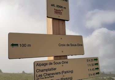 Randonnée Marche Fillière - GLIERES / BORNES: SOUS DINE AU DEPART DE LES CHENEVIERS...  - Photo