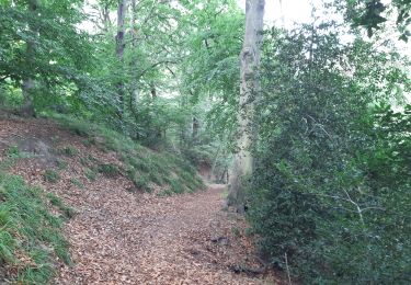 Tour Wandern Lüttich - tour de Streupas par les petits chemins - Photo