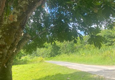 Tocht Trail Sainte-Anne - Liard saint Robert  - Photo