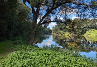 Tour Wandern Port-de-Piles - Port-de-Piles - la Creuse les Ormes GR655 - 20.7km 300m 4h30 (1h) - 2024 09 13 - Photo