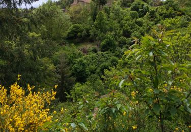Trail Walking Montbrison - boucle de Bard - Photo