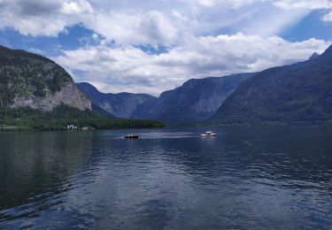 Tocht Stappen Hallstatt - Hallstatt - Photo