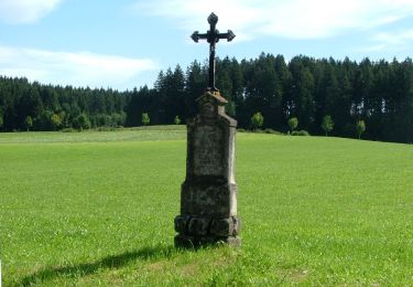 Randonnée A pied Marktoberdorf - Terra Nostra II - Photo