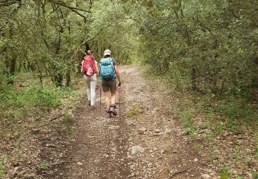 Trail Walking Pourrières - le mont Aurélien - Photo