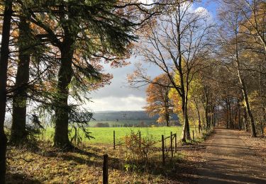 Randonnée A pied Malmedy - Malmedy Yellow Cross - Photo