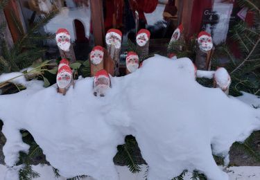 Randonnée Raquettes à neige Gérardmer - Gerardmer #3 raquettes - Photo