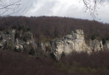 Randonnée A pied Pretzfeld - Wichsenstein-Dicker Berg - Photo