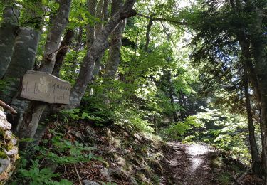 Trail Walking Engins - Charande par le Pas de La Lose et le Pas du Follet - Photo