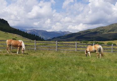 Tour Wandern Villanders - villander - Photo