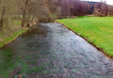 Excursión A pie Burgsinn - Ortswanderweg Burgsinn 7 - Photo