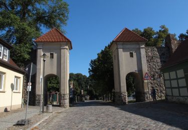 Randonnée A pied Templin - Sechs-Seen-Rundweg (Teilstück) - Photo