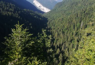 Percorso Marcia Saint-Pierre-de-Chartreuse - col de la charmette 2019 - Photo