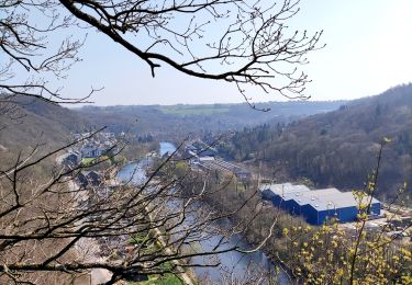 Tour Wandern Esneux - Promenade autour de Brialmont - Photo