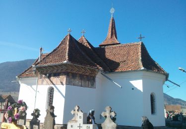 Excursión A pie Desconocido - Zărnești -Brâna Caprelor-Zărnești - Photo