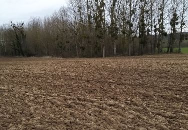 Randonnée Marche Thiescourt - lieu dit les bailleurs  - Photo