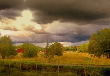 Trail On foot  - Fornstigen - Photo