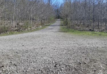 Trail Walking Namur - Vecquee - Photo