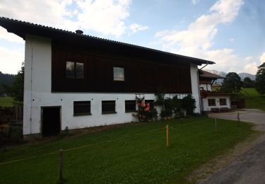 Tour Zu Fuß Schladming - Halserberg Rundweg - Photo