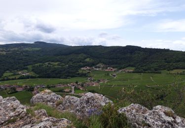 Tour Wandern Vergisson - Les 2 Roches Solutre - Photo