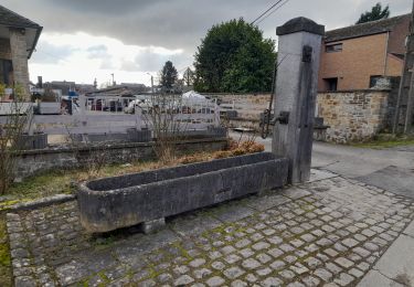 Excursión Senderismo Havelange - Marche ADEPS 10km500 à Havelange - Photo