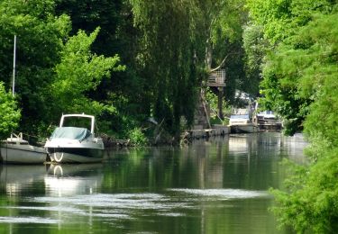 Trail Walking Morainvilliers - Bures - Photo