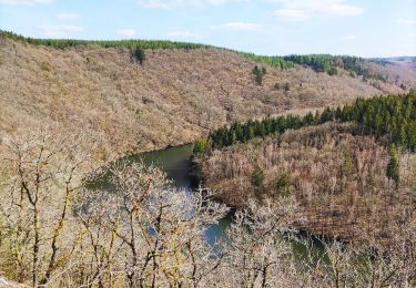 Trail Walking Houffalize - Promenade vers le barrage de Nisramont - Photo