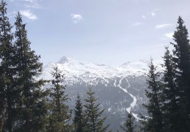 Randonnée Marche Val-Cenis - Termignon - la Turra  - Photo