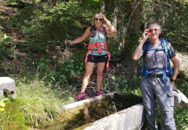 Tour Wandern Saint-Agnan-en-Vercors - rousset fontaine  - Photo
