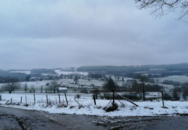 Tocht Stappen Manhay - près de vaux-chavanne  - Photo