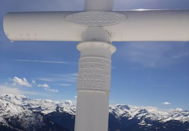 Tour Schneeschuhwandern Hauteluce - Les Saisies vers la Croix vue Mt Blanc - Photo