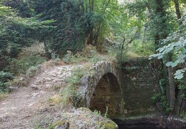 Percorso A piedi Bagnols-en-Forêt - La forêt Royale Bagnols-en-Forêt - Photo