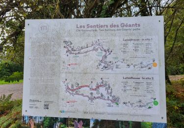 Tour Wandern Urmatt - Lutzelhouse - sentier des géants - Photo