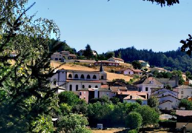 Percorso Marcia Saint-Igny-de-Vers - 9618600-ST IGNY DE VERS ST IGNY DE VERS 12 KM - Photo