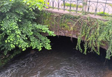 Excursión Senderismo Spa - les eaux au sud de Spa  - Photo