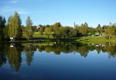 Tocht Te voet Grafenau - Bärenpfad - Photo