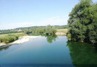 Tocht Mountainbike Laneuville-sur-Meuse - 55 Laneuville Martincourt prairies et retour canal  - Photo