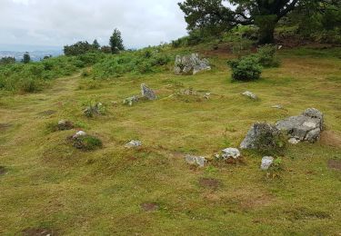 Tour Wandern Urrugne - Ibardin - Photo