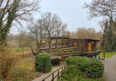 Randonnée A pied Bad Schmiedeberg - Heide-Biber-Tour - Photo