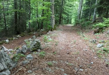 Trail Walking Chézery-Forens - col du sac - Photo