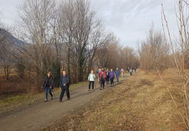 Trail Nordic walking Sassenage - MN Sassenage Circuit 9-10 km - Photo