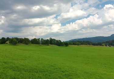 Trail Walking Lajoux - Le crêt de la vigoureuse (le vrai) - Photo